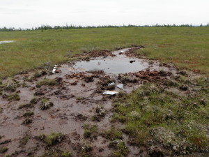 Where the wing struck the bog in 1941 is still visible. Note the debris in the scar. Photo by author, 2010.