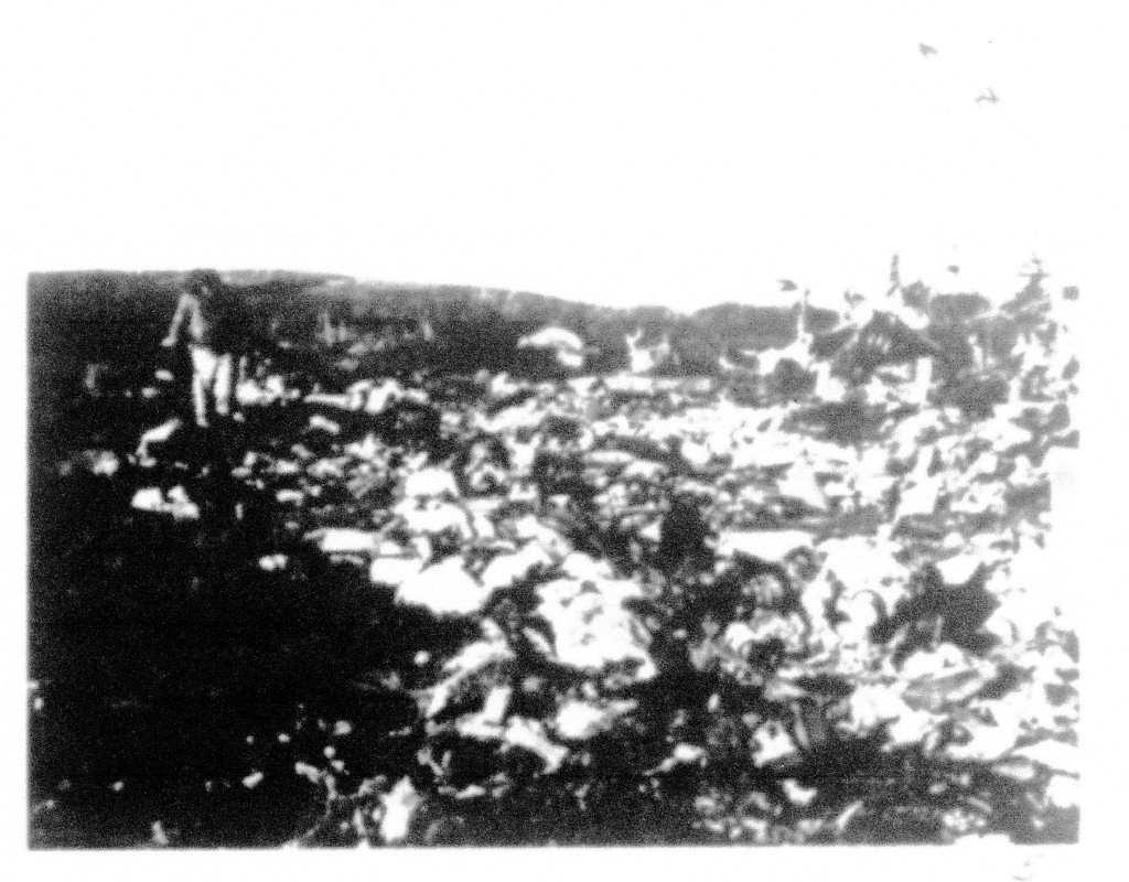 Image 5 from the crash report. "Photo attachment #4 [sic] is general view of wreckage taken from a point near left wing tip and showing area of most intense heat." Griffing et al. 1947.