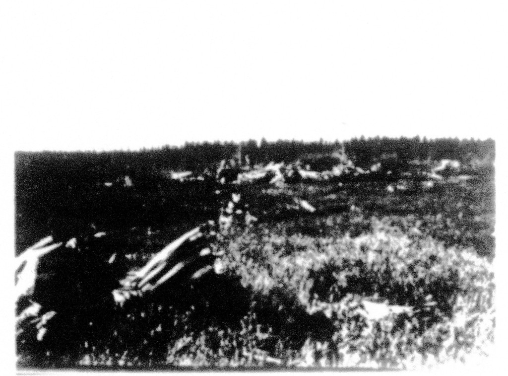 Image 2 from the crash report. "Photo attachment #2 shows the spruce tree encircled [unclear on image], which helped determine the angle at which the aircraft struck the ground." Griffing et al. 1947.