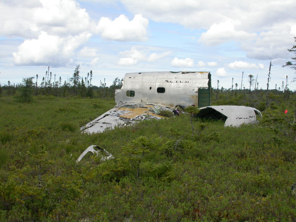 Figure 8: The Ventura site in 2010. Note the cockpit was still on site, but is hidden behind the fuselage in this image. Photo by Dr. M. Deal 2010.