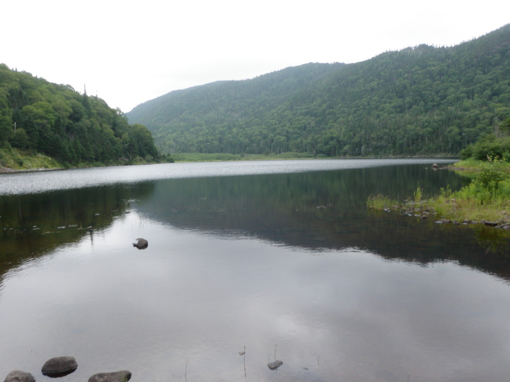 Alder Pond. Crash Hill is visible in the distance. Photo by author 2012.