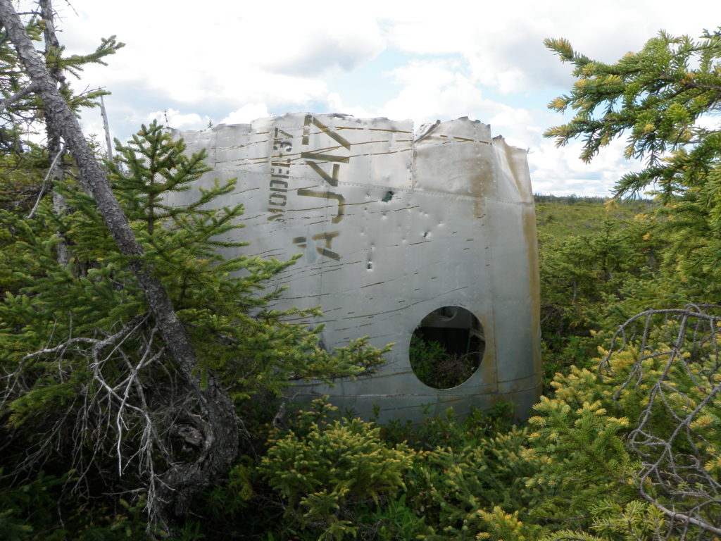 Figure 5. Section of aircraft that has been cut and dragged away from the main site. Photo by author, 2010.