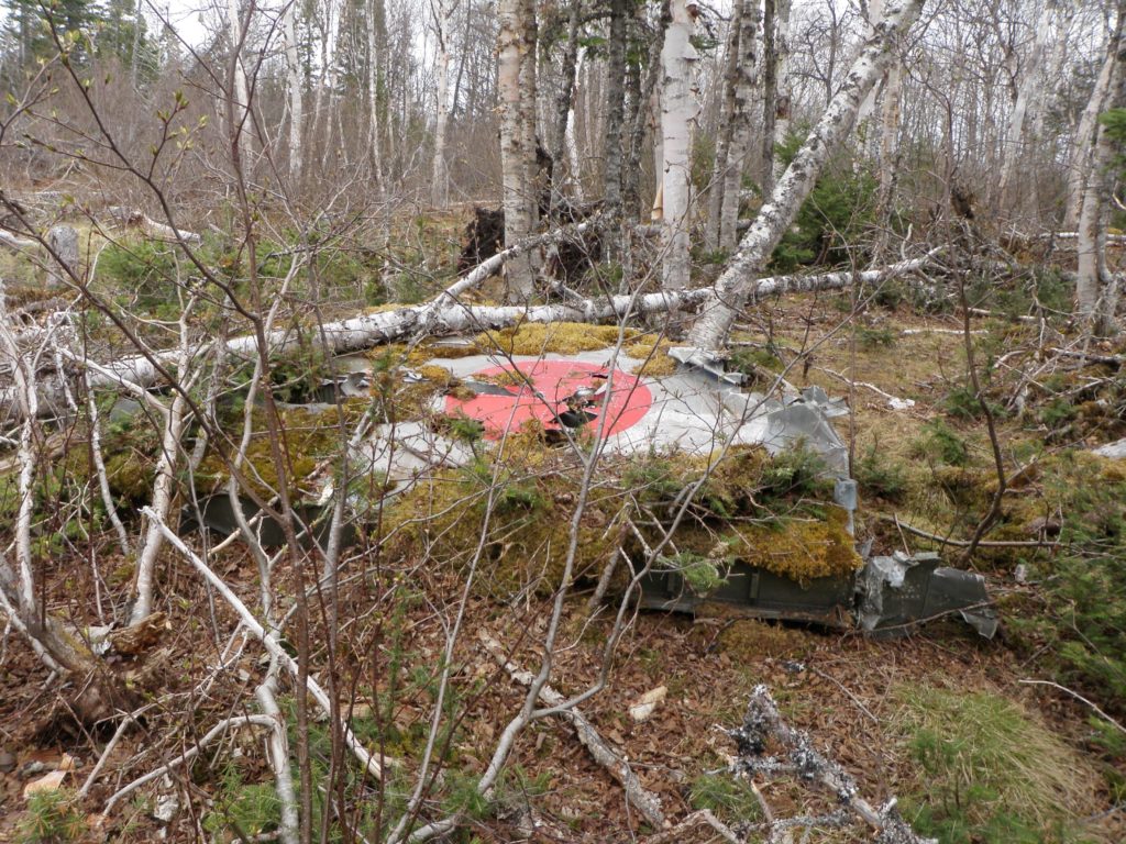 Figure 2: Wing tip that has since been removed from the site by persons unknown. Lisa M. Daly 2009.